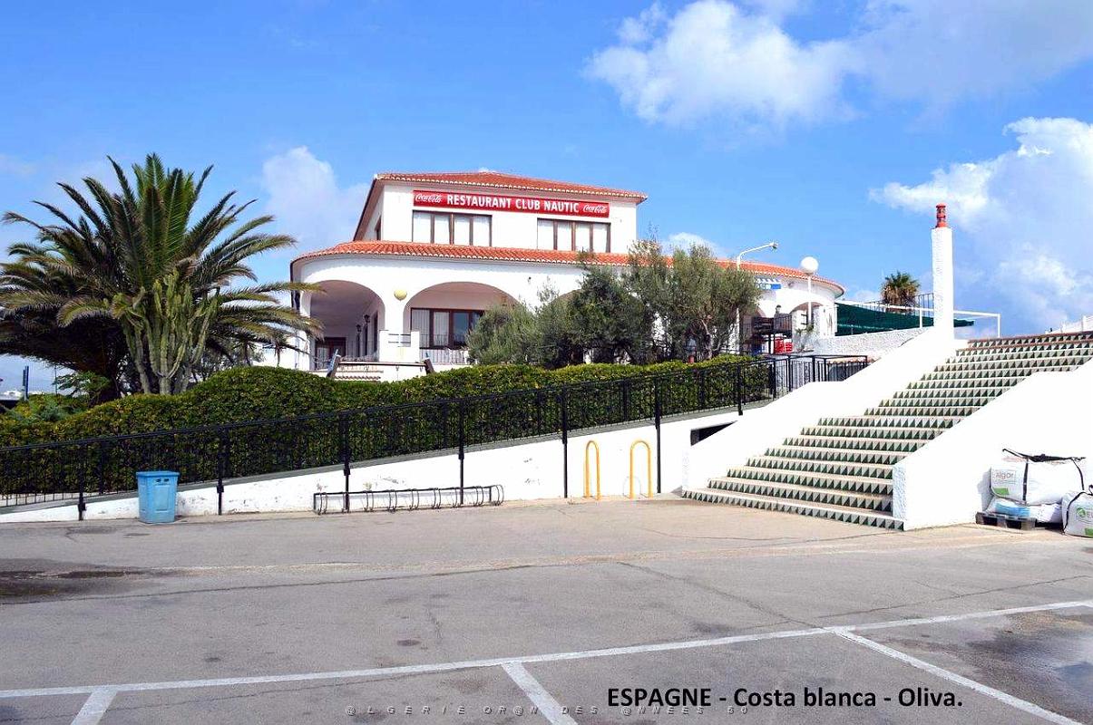 202- Oliva.JPG